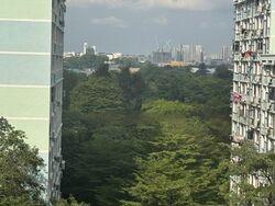 Blk 160 Yung Ping Road (Jurong West), HDB Executive #455456161